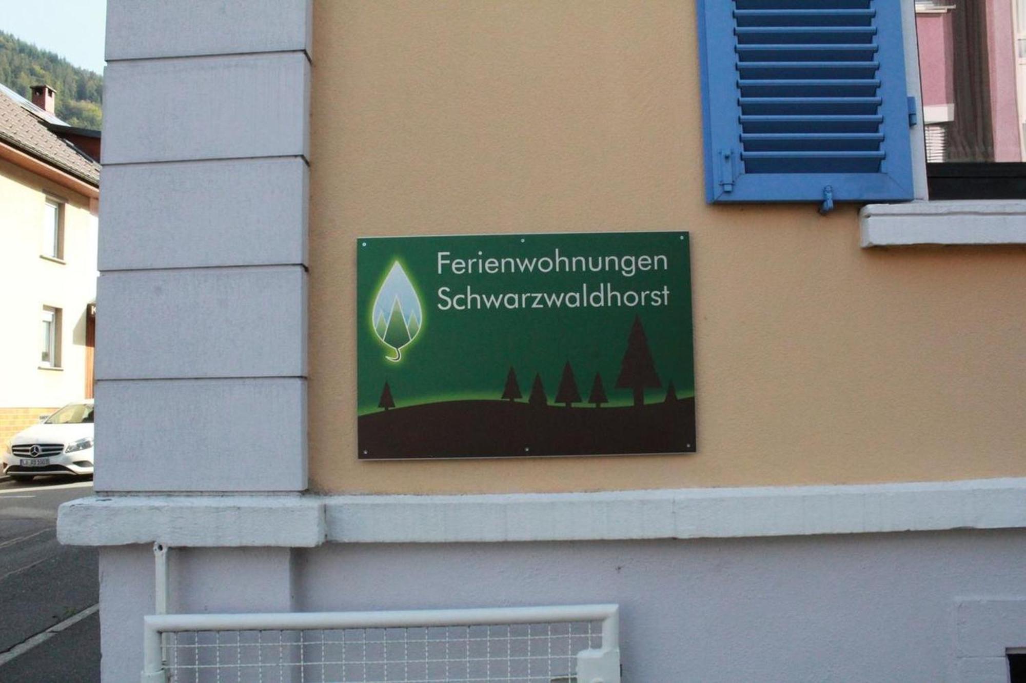 Schwarzwaldhorst Fewo 2 - 2 Schlafzimmer - Todtnau, Feldberg Exterior foto